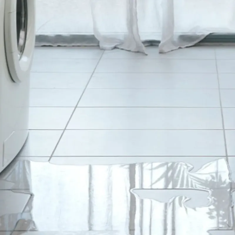 Appliance Leak Cleanup in Surry, ME
