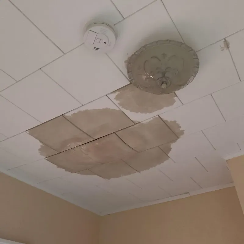 Ceiling Water Damage Repair in Surry, ME