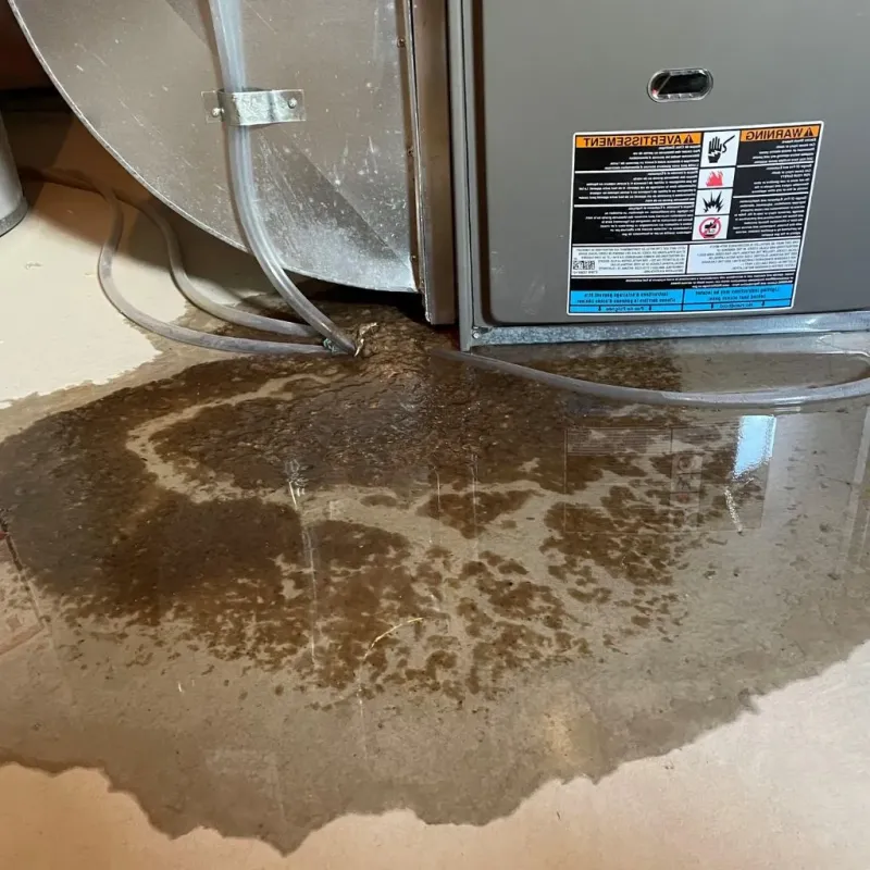 Pipe Burst and Leak Restoration in Surry, ME